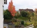 Garten im Herbst